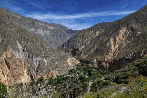 Mountainous landscape under clear skies with a deeply cut gorge, The landscape of Colca Canyon in