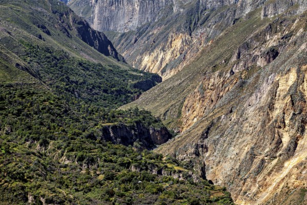 Deep gorge surrounded by lush vegetation and steep rock faces, the landscape of Colca Canyon in the