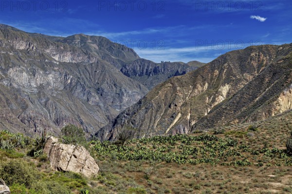 Wide mountain landscape with green vegetation under a clear sky, The landscape of Colca Canyon in