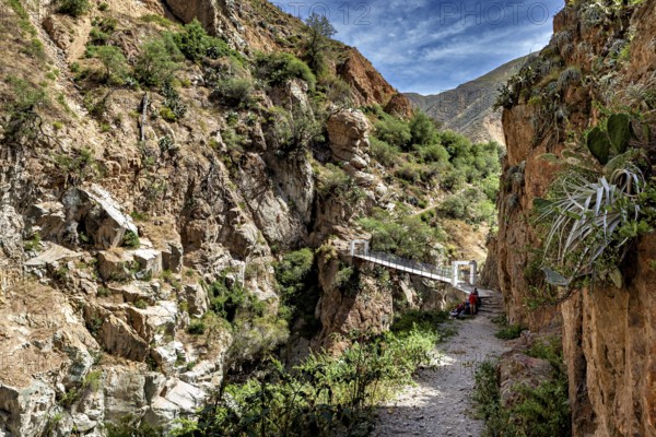 Trail leads along rocks to a suspension bridge, the landscape of the Colca Canyon in the Andes of