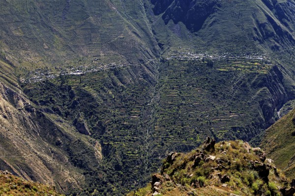 Bird's-eye view of terraces running on the slopes in a mountainous region, The landscape of Colca