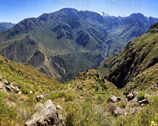 Dense vegetation in a wide valley between massive mountains and steep rock faces, The landscape of