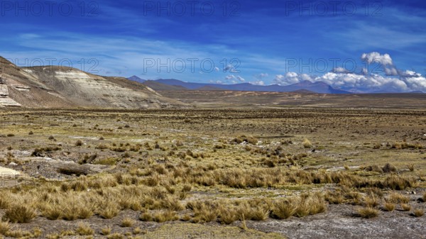 Grassy lowlands with mountains in the distance under a cloudless sky, The Andean highlands of Peru