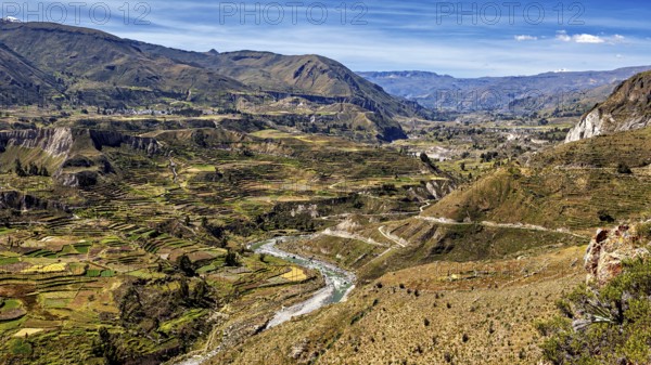 Extensive terraced valleys with towering mountains and a river, the landscape of the Colca Canyon