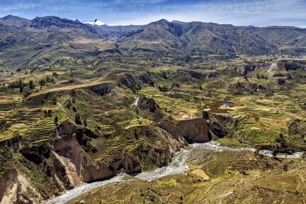Landscape with terraced fields, river and mountainous surroundings, The landscape of Colca Canyon