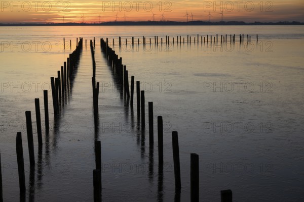 Row of posts over calm water at dusk, deep blue tones, wooden posts, boat dock posts run into the
