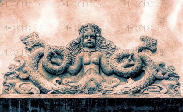 Mythological Mermaid Creature, wall decoration, Welf Castle of Herzberg, Herzberg am Harz, district