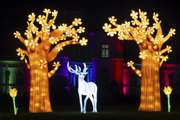 From November 29, 2025 to January 11, 2026, the palm garden and its partner World of Lights