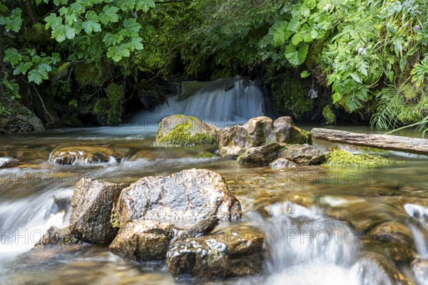 Clear mountain stream, moss-covered stones, Zgornje Jezersko mountaineering village, Slovenia