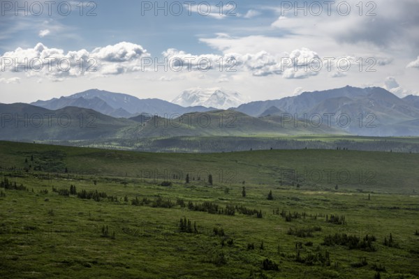Tundra and glaciated peak of Denali or Mount McKinley, mountainous landscape, Denali National Park,