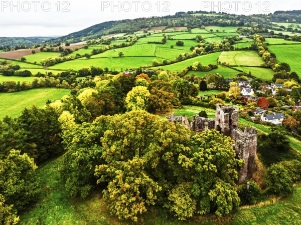 Autumn Colours over ruins of Grosmont Castle from a drone, Grosmont, Monmouthshire, Wales, UK