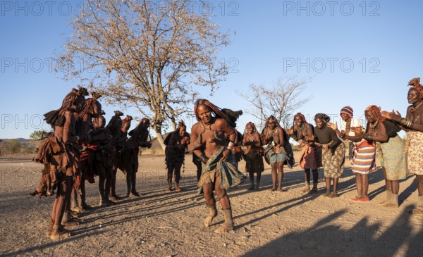 Himba woman dancing euphorically, traditional dance, traditional Himba village, Kaokoveld, Kunene,