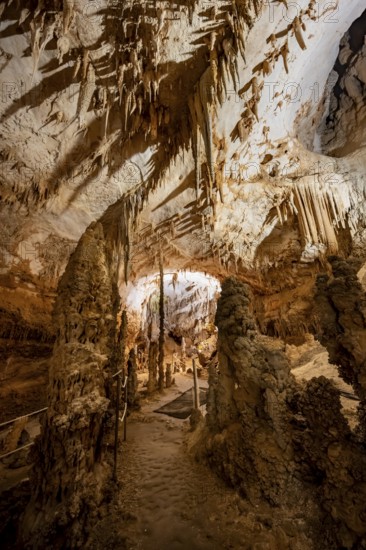Stalactites and stalagmites, rock formations in a stalactite cave, Grotta del Fico, Gulf of Orosei,