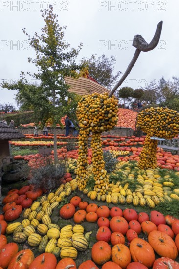 Decoration with pumpkins on a farm