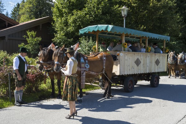 Decorated horses with carriage, horse team, parade at Tegernsee, Rosstag, Rottach-Egern, Upper