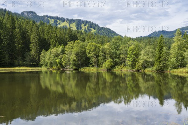 Landscape near Suttensee, wetland, Mangfall Mountains, Rottach-Egern, Upper Bavaria, Bavaria,
