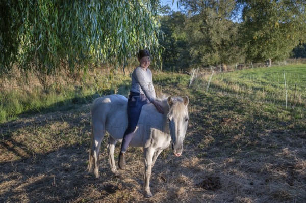 Young girl sitting on her white mare under a willow (Salix), Othenstorf, Mecklenburg-Western