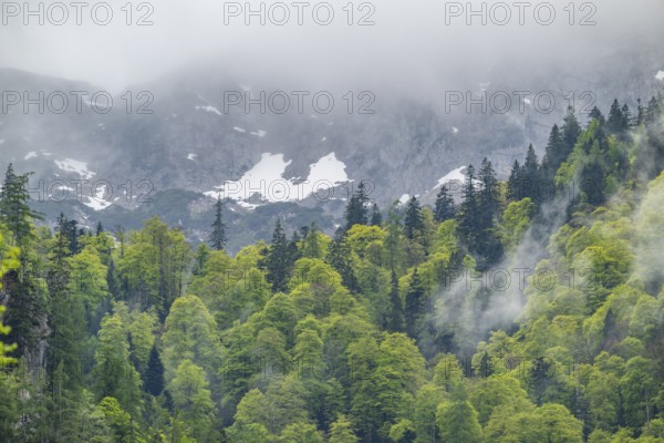 View into the mountains next to Lake Offensee on a rainy day in spring, Salzkammergut, Austria,