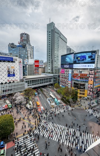 Modern houses with colorful neon signs and large road intersection, Shibuya Crossing from above,