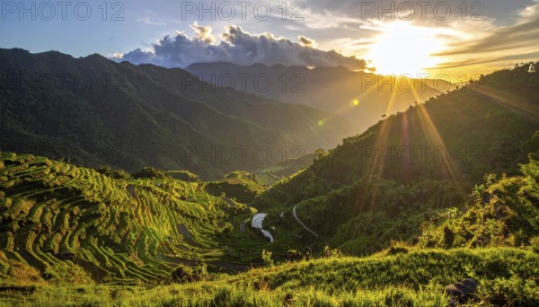 Early morning light bathes Philippines rice terraces cascading down mountain slopes, beautiful