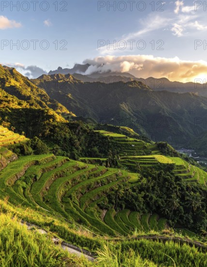 Early morning light bathes Philippines rice terraces cascading down mountain slopes, beautiful