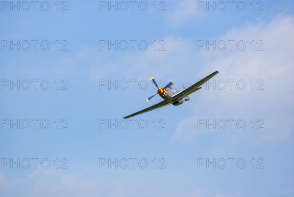 A North American P-51 Mustang of the flying group Flying Bulls, the Nooky Booky IV during an air