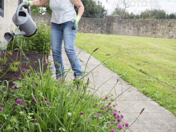 Senior gardener watering plants with watering can in garden