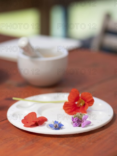Fresh flowers and vegetables arranged on a palette, ready for preparing natural inks and pigments,