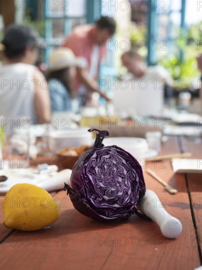 Artists creating natural inks and pigments using red cabbage, lemon and other organic materials