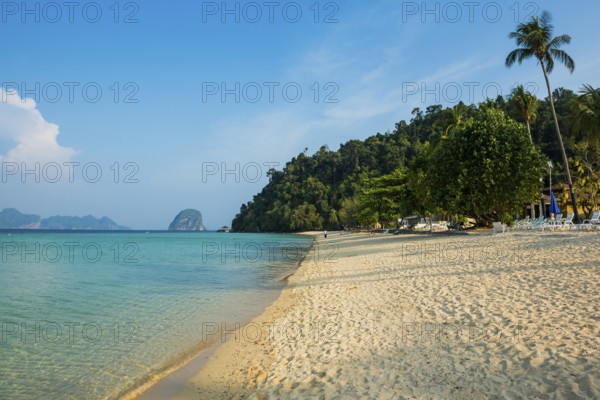 White sandy beach and coconut palms, Sunrise Beach, Koh Great white shark, Ko Ngai, Krabi Province,