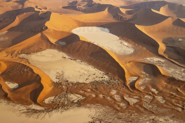 Sand dunes and dry pans in the Namib Desert. In the evening. Aerial view. Namib-Naukluft Park,