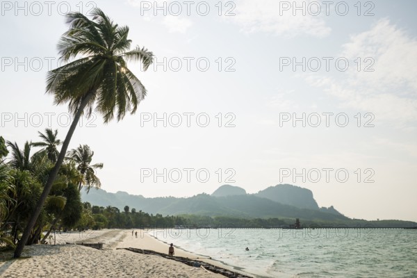 White sandy beach and coconut palms, Pearl Beach, Koh Mook, Trang Province, Southern Thailand,
