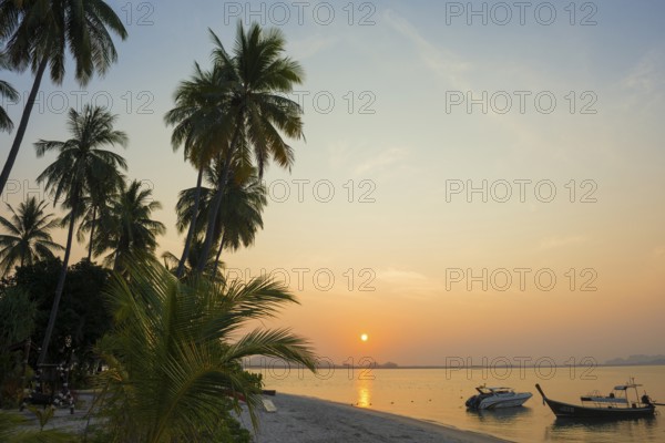 White sandy beach and coconut palms, sunset, Pearl Beach, Koh Mook, Trang Province, Southern