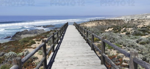 Wooden trail leads through vegetation with sea views in clear skies, hiking on the Fisherman's