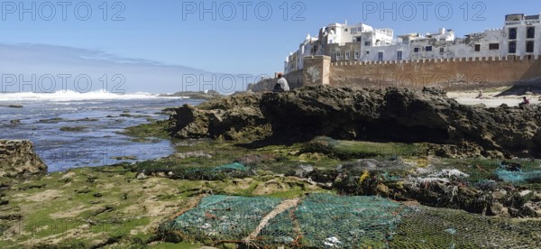 Rocky coast with city walls and view of Essaouira blue sky and algae in daylight, a man sitting on