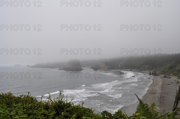 Misty coast with rocks and green shore, waves hitting the beach under a grey sky, Redwood National