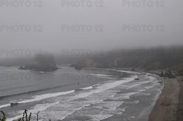 A mist-covered coastline with gentle waves and a dull beach atmosphere, Redwood National Park,