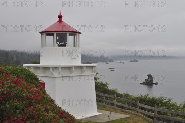 White lighthouse with red roof on foggy coast, rocks in water surrounded by green vegetation,