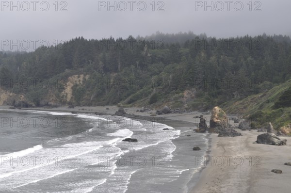 View of foggy beach with waves and rocks against a wooded, mystical background, Redwood National