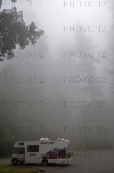 A motorhome stands in the misty redwood forest, coast redwood (Sequoia sempervirens), creating a