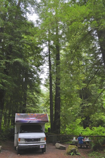 Motorhome in the forest, coast redwood (Sequoia sempervirens), idyllic atmosphere, picnic area,