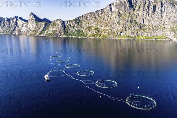 Aerial view of a salmon farm, aquaculture in the Mefjord on Senja island, in the background the