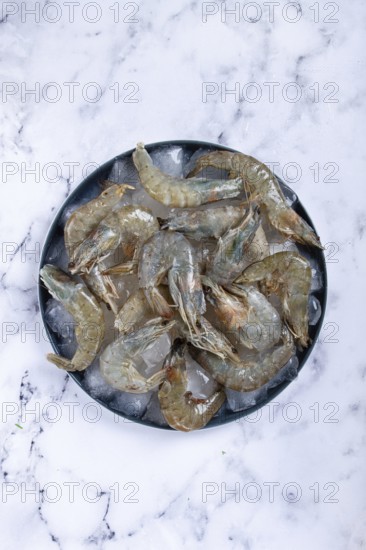 Fresh raw shrimp, spread on ice with lemon and cilantro slices on a marble surface, ready to cook,