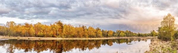 A quiet lake with autumnal moor forest on the shore reflecting the sky and clouds, Gildehauser