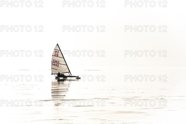 Ice sailor on the frozen Dümmer Lake on a brightly lit, minimalist-looking lake, Lembruch, Lower
