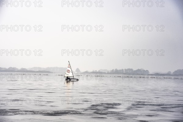 Ice sailor on a frozen lake covered in fog, quiet and peaceful winter landscape, Dümmer See,