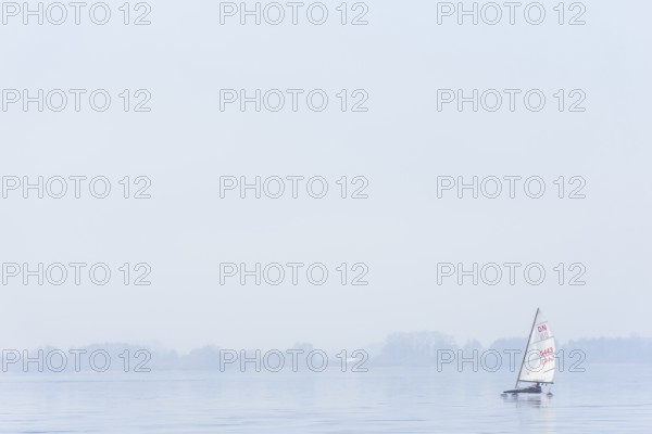 Ice sailor on frozen Dümmer Lake, on a fog-covered lake, quiet and peaceful winter landscape,