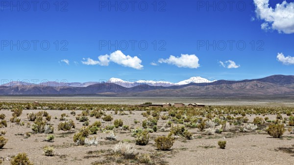 Wide desert landscape with snow-covered mountains under blue sky and scattered clouds, The