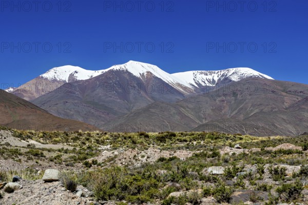 Snowy mountains tower over a barren desert landscape under clear skies, roads through the landscape