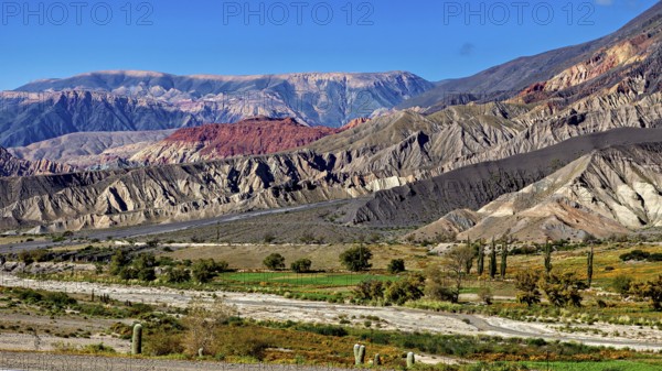 A colourful mountain landscape under a clear blue sky with desert vegetation, The landscape of the